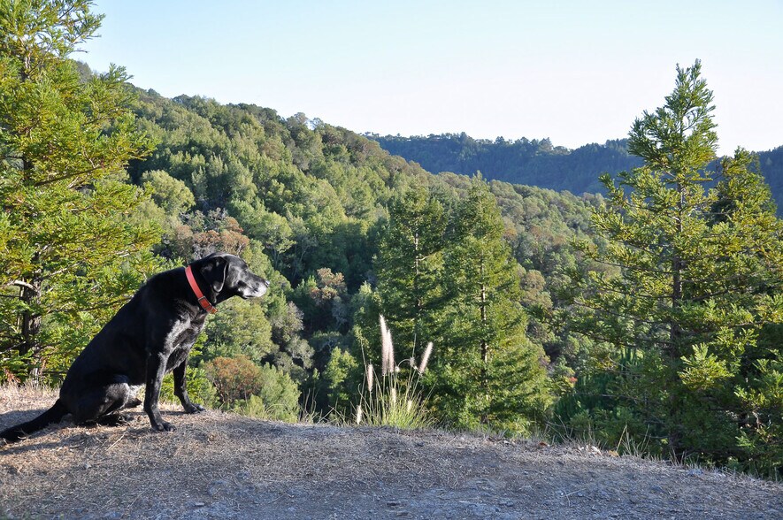 More Photos Of 128 Ridgecrest Road, Kentfield Land For Sale