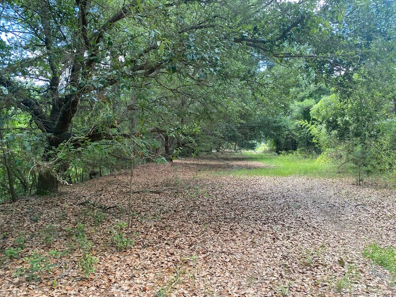 More Photos Of 4390 Fraser st, Georgetown Land For Sale