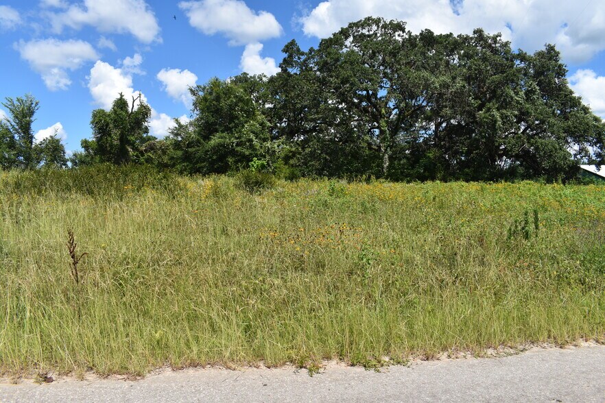 More Photos Of 2200 S Royall St, Palestine Land For Sale