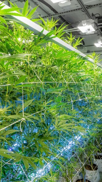 More Photos Of 44211 Yucca Ave, Lancaster Warehouse For Sale