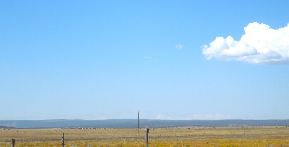 More Photos Of Lot 117 S, Estancia Land For Sale