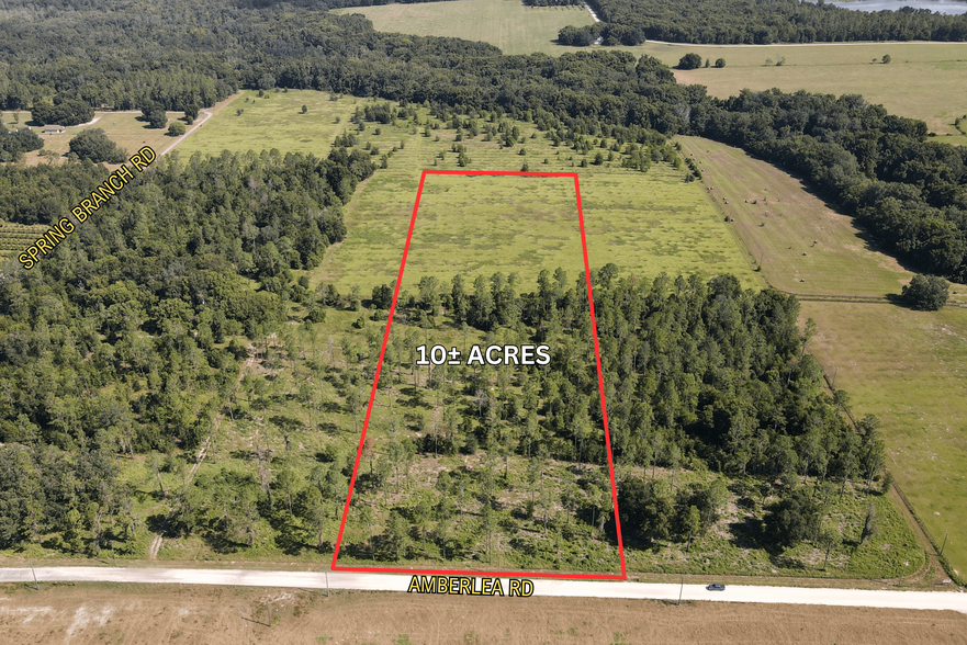 Primary Photo Of 1 Amberlea Rd., Dade City Land For Sale