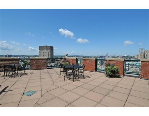 More Photos Of 10 Rogers St, Cambridge Apartments For Lease