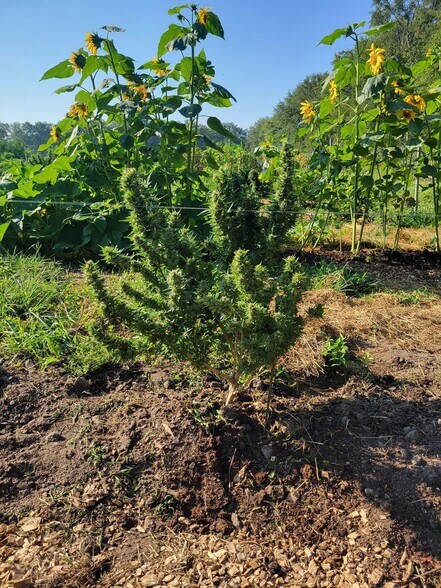 More Photos Of 149 Brindletown Rd, New Egypt Land For Lease