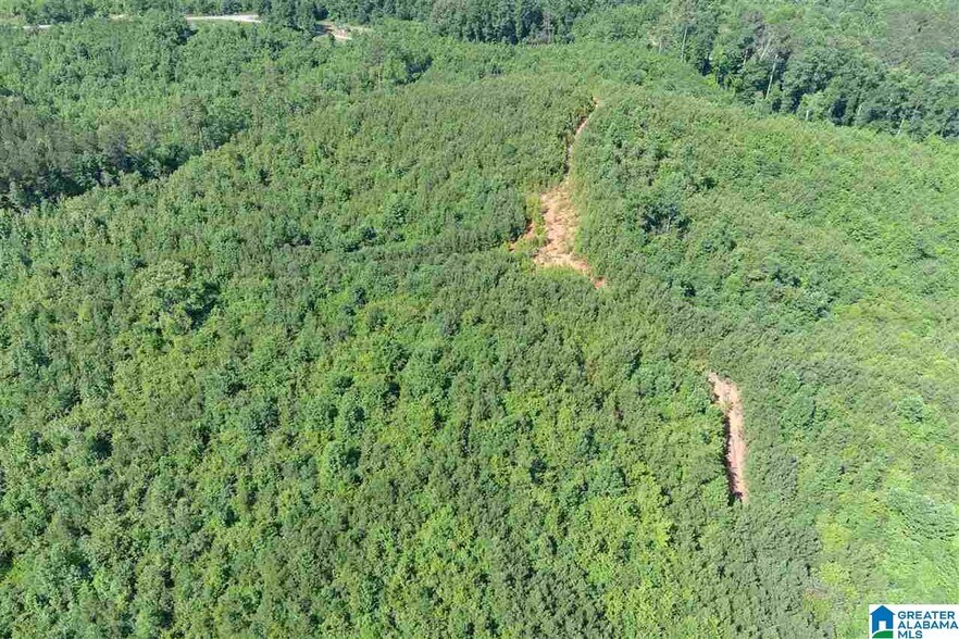 More Photos Of 0 County Rd 61, Fruithurst Land For Sale