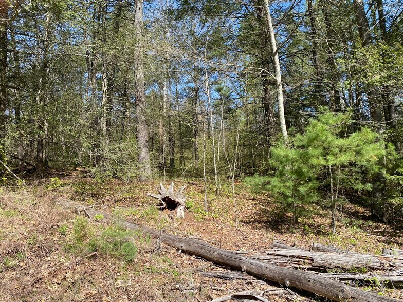 More Photos Of 100 Pequot Rd, Southampton Land For Sale