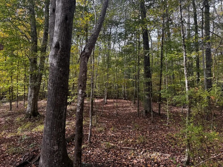 More Photos Of Coon Hop Rd, Hardaway Land For Sale
