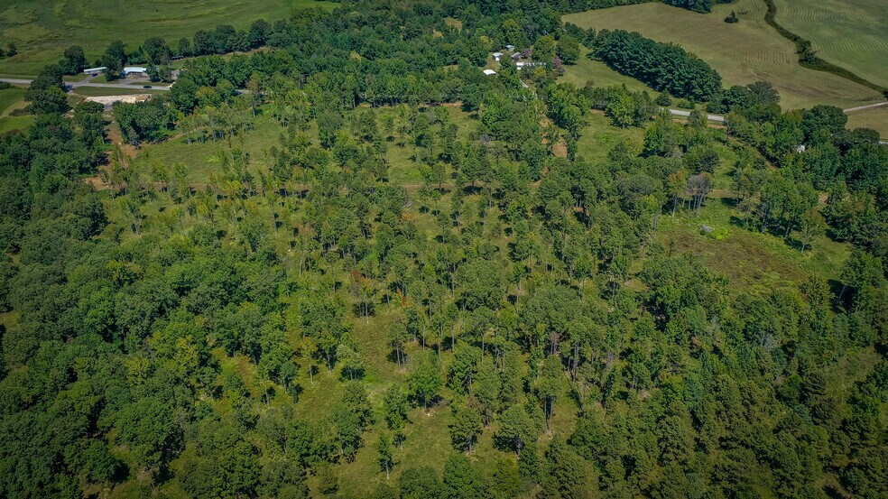 More Photos Of 649 Shiloh Road, Greers Ferry Land For Sale