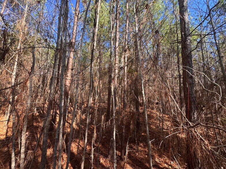 More Photos Of U.S. 31, Verbena Land For Sale