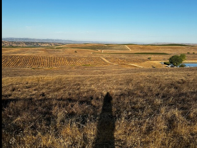 Primary Photo Of 3700 Gruenhagen Flat Rd, Paso Robles Land For Sale