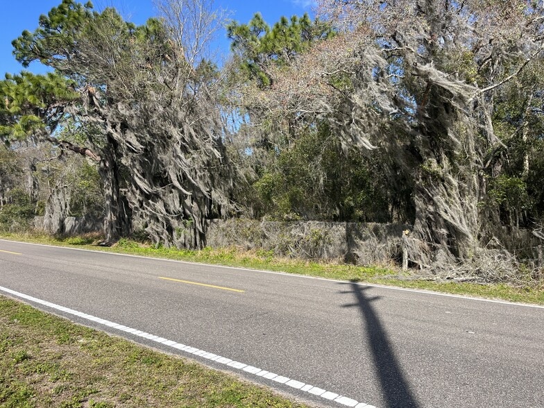 More Photos Of 30651 Elam Rd, Wesley Chapel Land For Sale