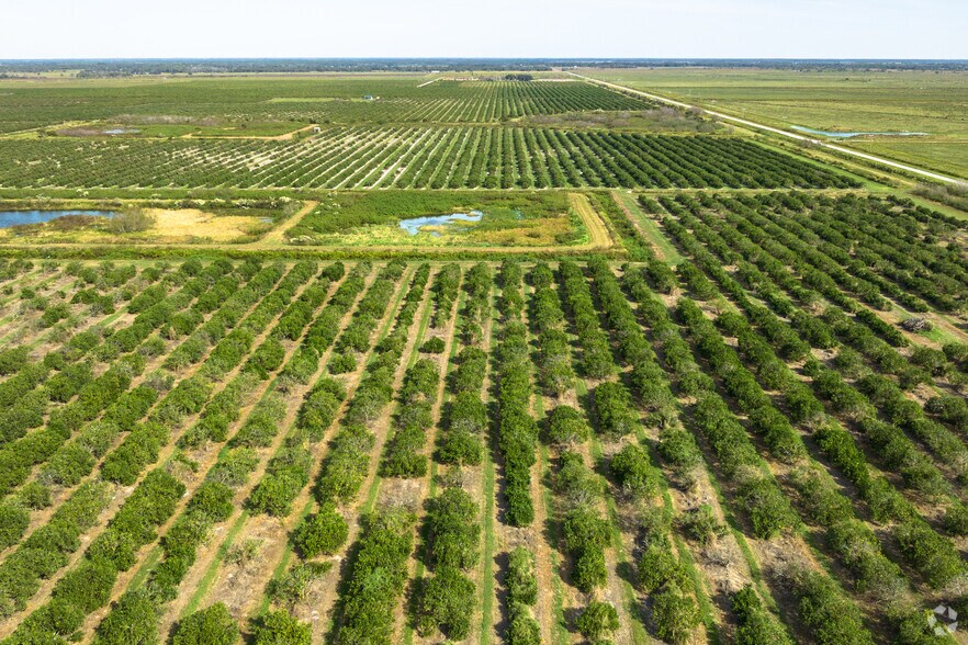 More Photos Of 8476 Ten Mile Grade, Zolfo Springs Land For Sale