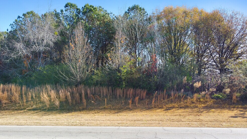More Photos Of 0 McDonough Pky, McDonough Land For Sale