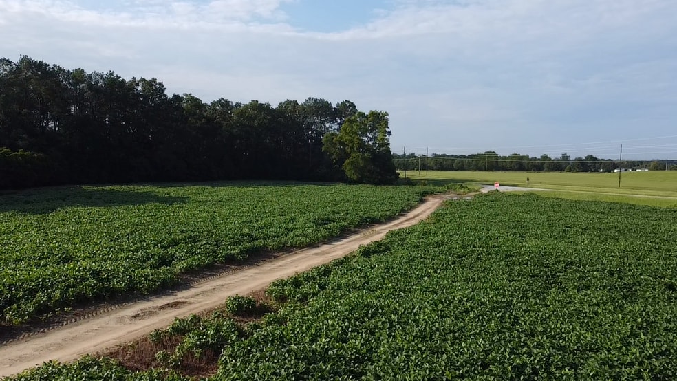 More Photos Of Hwy 9 @ Beauty Spot Rd, Bennettsville Land For Sale
