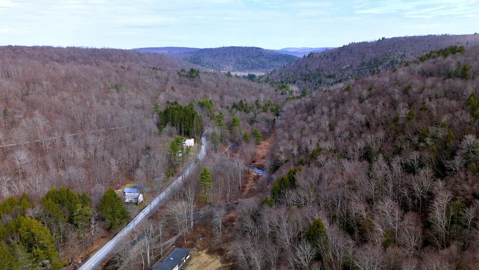 Primary Photo Of 127 Blum Rd, Equinunk Land For Sale