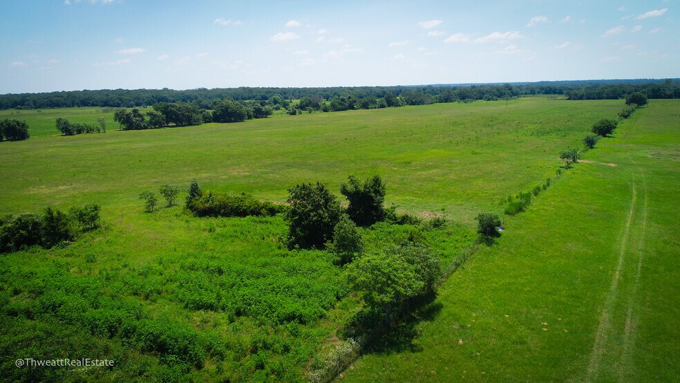 Primary Photo Of Hwy 79 300 CR 354 Gause Texas 77857, Gause Land For Sale