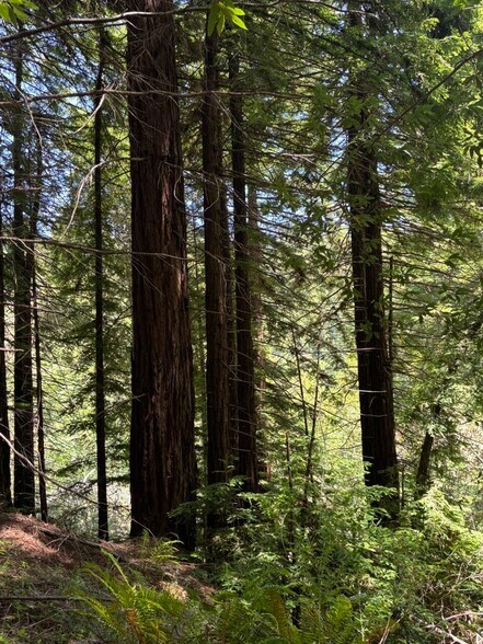 More Photos Of 21380 Siri rd, Guerneville Land For Sale