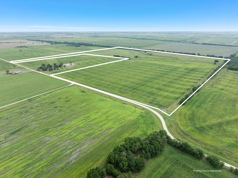 Primary Photo Of TBD Hill County Road 3112, Abbott Land For Sale