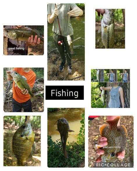 More Photos Of 10774 County Road 494, Tyler Apartments For Sale