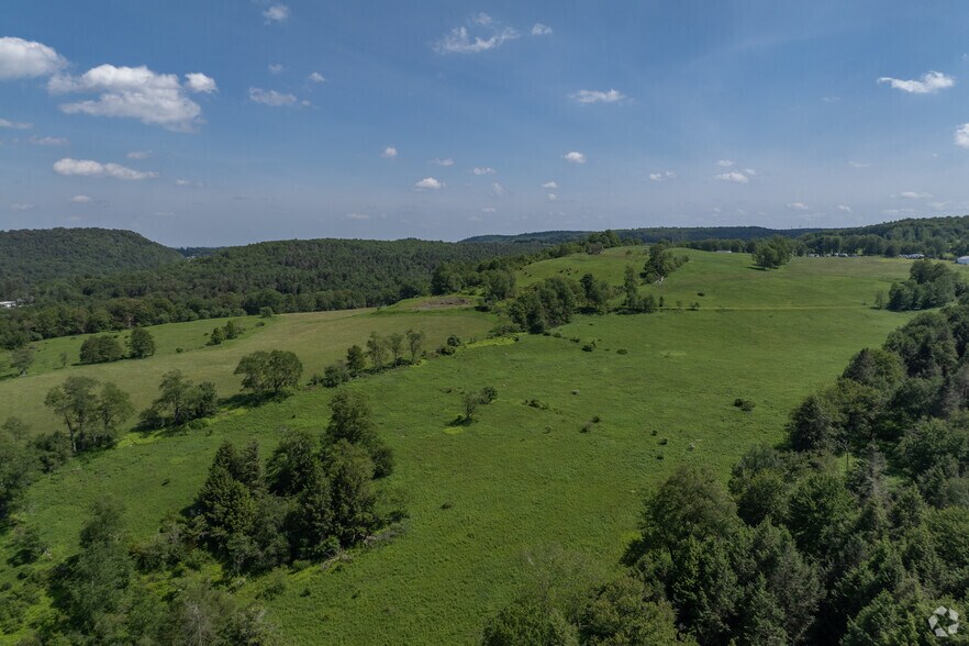 More Photos Of 1 Snow Hill Rd, Parksville Land For Sale