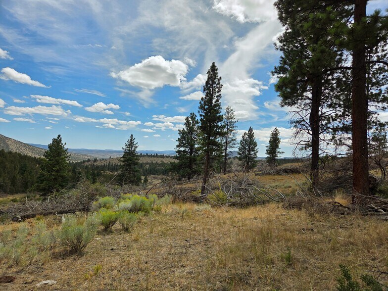 More Photos Of 32611 Tackman Rd, Prineville Land For Sale