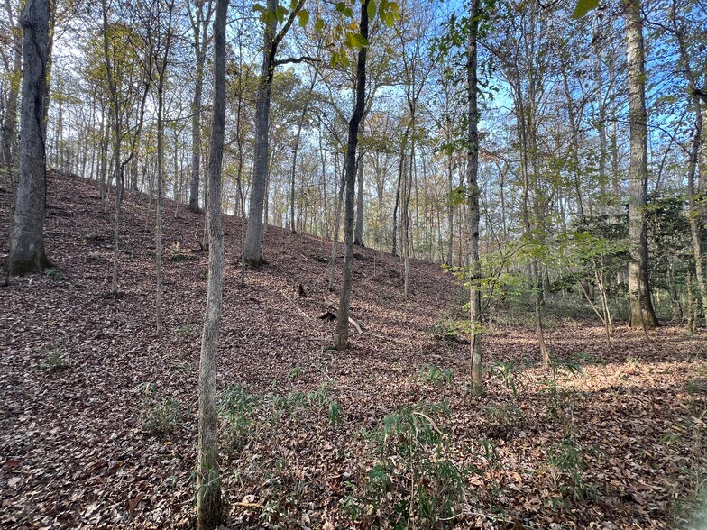 More Photos Of 0 Dickson Dr, Danielsville Land For Sale