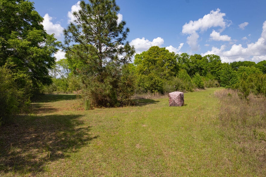More Photos Of US 84 hwy, Newton Land For Sale