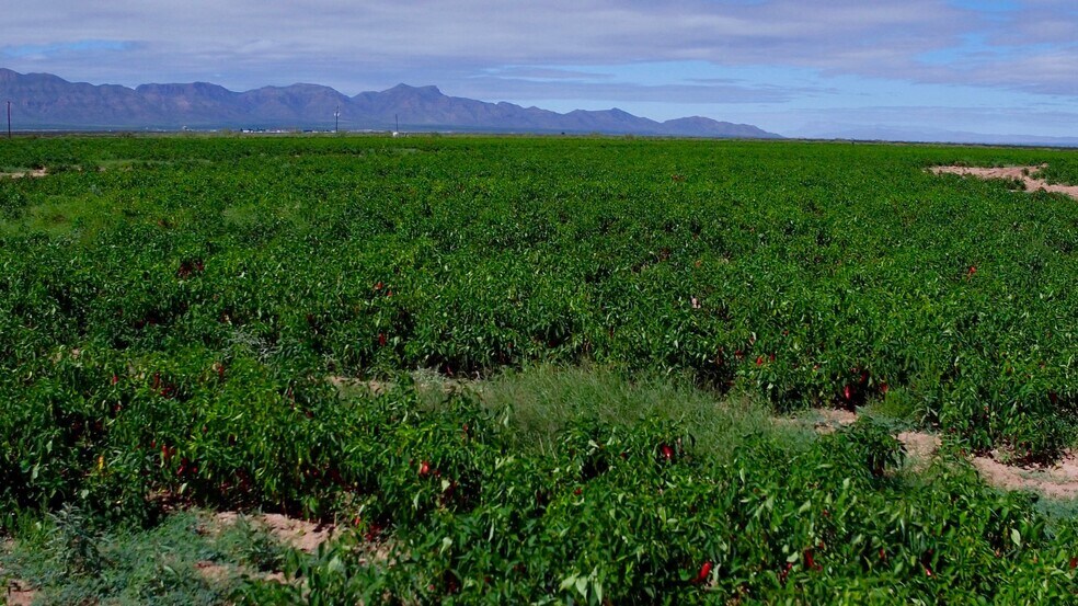 More Photos Of 10± miles NE of Van Horn, Van Horn Land For Sale