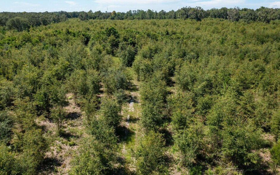 More Photos Of Crossen Avenue & Ichetucknee Rd, Live Oak Land For Sale