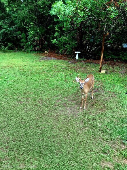 More Photos Of 2380 Shepherd Ave, Saint Cloud Land For Sale