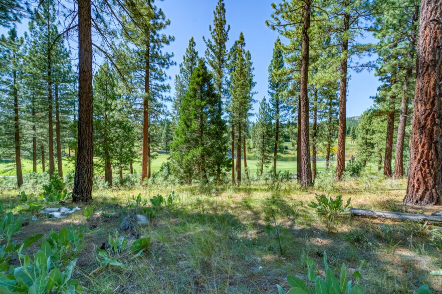 More Photos Of 241 Fox Sparrow, Portola Land For Sale