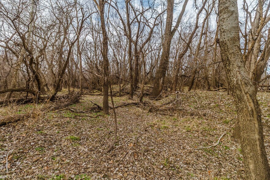 More Photos Of 79+/- Acres on 272nd Rd. Rd @ 41st Rd, Arkansas City Land For Sale