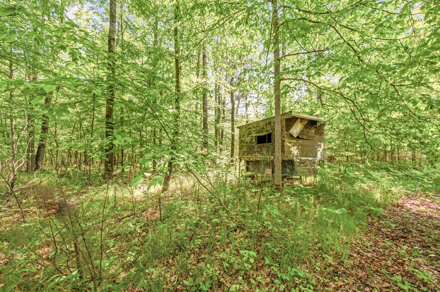 More Photos Of V/L 220th Ave, Big Rapids Land For Sale