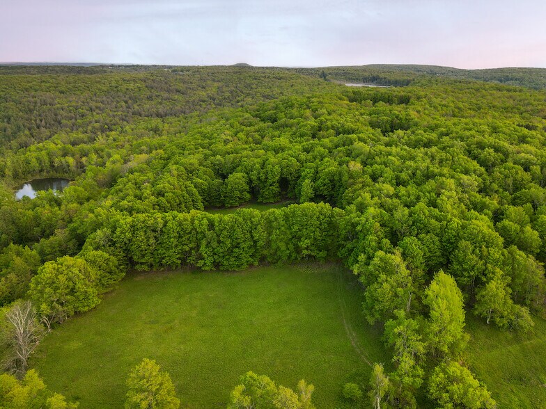 More Photos Of 1 Snow Hill Rd, Parksville Land For Sale