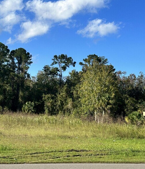More Photos Of 1000 Cooks Lane, Green Cove Springs Land For Sale