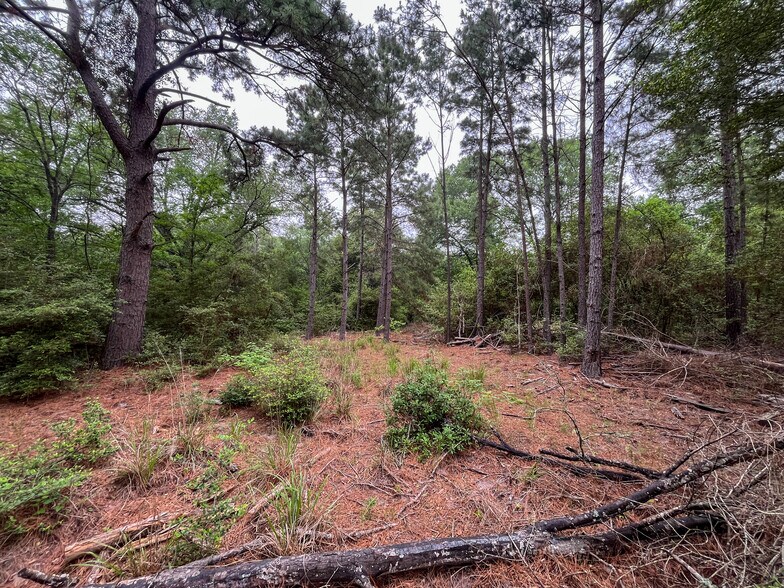 More Photos Of 8 Ranchero Rd, College Station Land For Sale