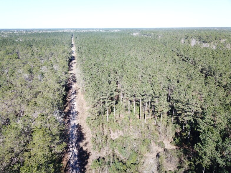More Photos Of Corrigan Road, Vidor Land For Sale