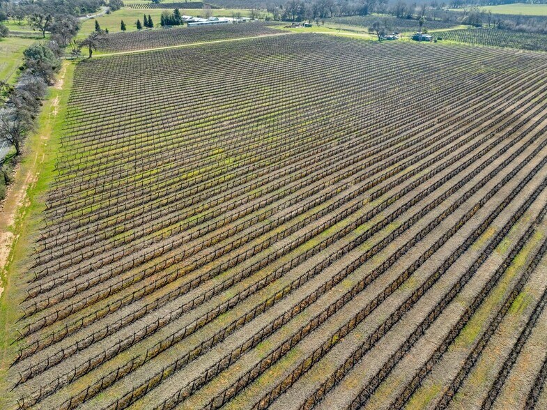 More Photos Of 3900 Jackson Valley Rd, Ione Land For Sale