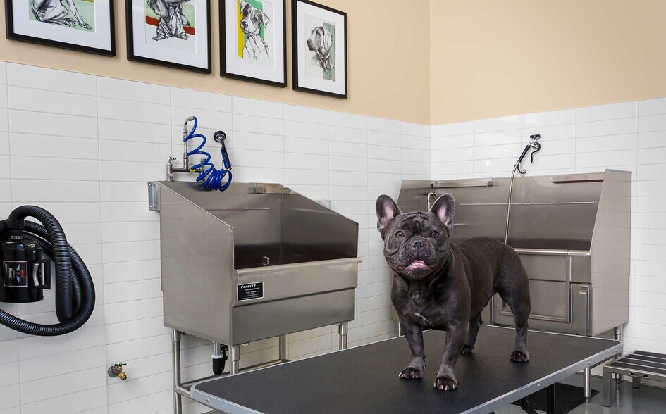 More Photos Of 7400 Center Ave, Huntington Beach Apartments For Lease