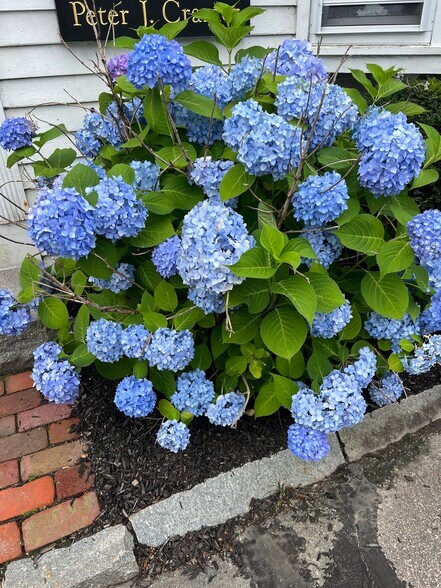 Primary Photo Of 345 Boston Post Rd, Sudbury Office For Lease