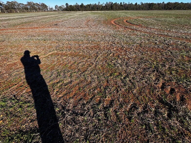 More Photos Of 0 Wiggins Road, Frisco City Land For Sale