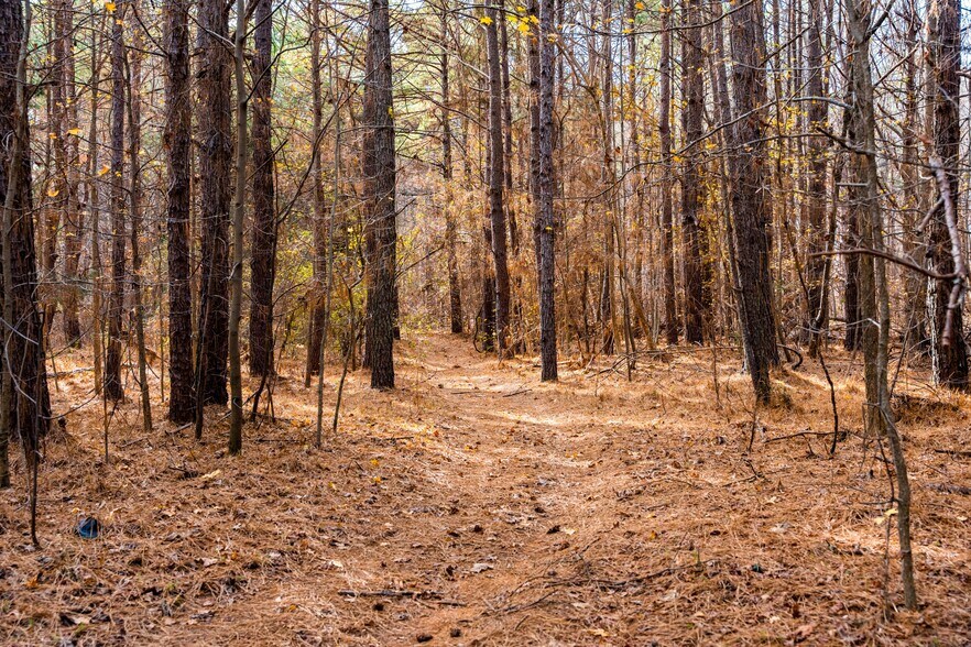 More Photos Of 10518 Albermarle Rd, Charlotte Land For Sale