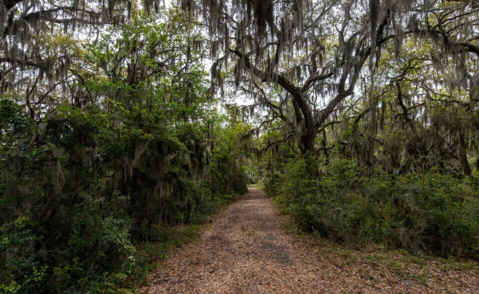 More Photos Of 1711 Salem Rd, Beaufort Land For Sale