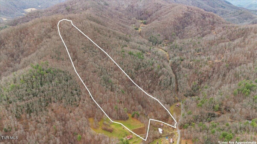 More Photos Of TBD Stockton Rd rd, Flag Pond Land For Sale