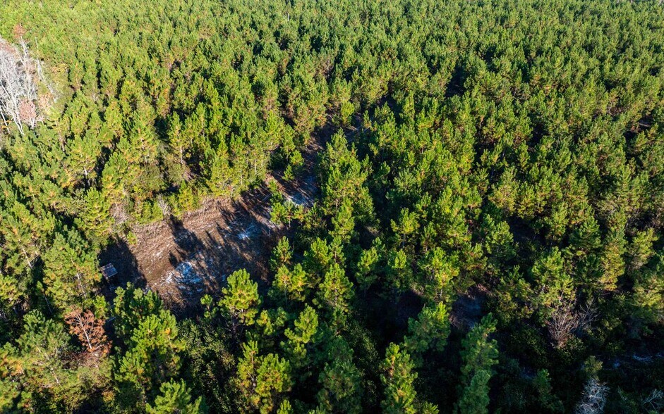 More Photos Of CR 137, Wellborn Land For Sale