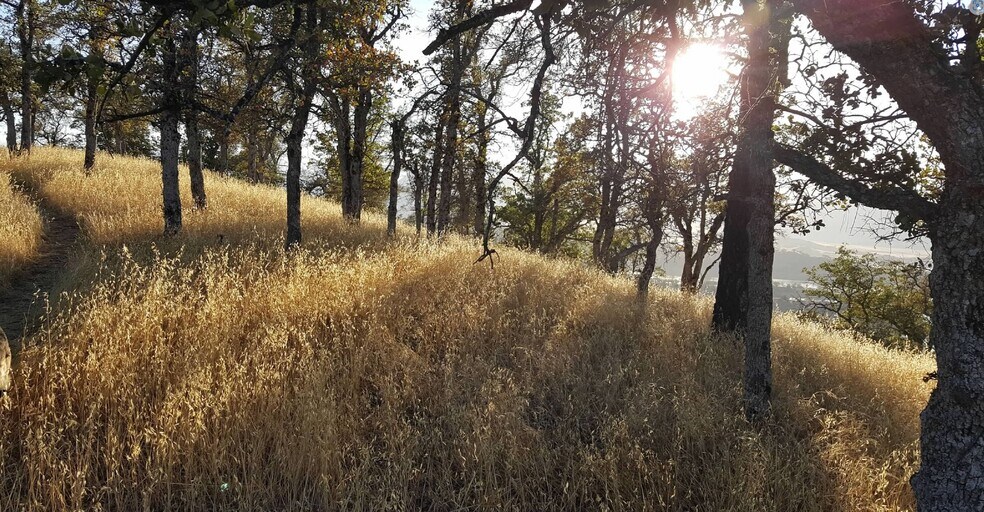 More Photos Of Campground Rd, Stonyford Land For Lease