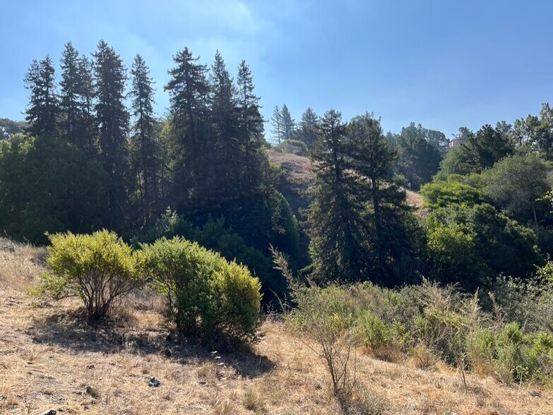 More Photos Of 12000 Campus Dr, Oakland Religious Facility For Sale