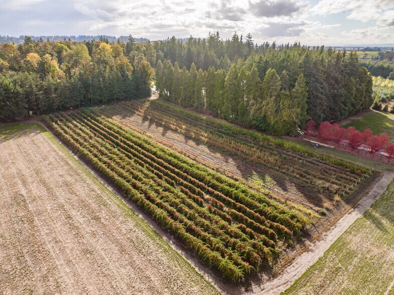 More Photos Of 37486 S Highway 213, Mount Angel Land For Sale