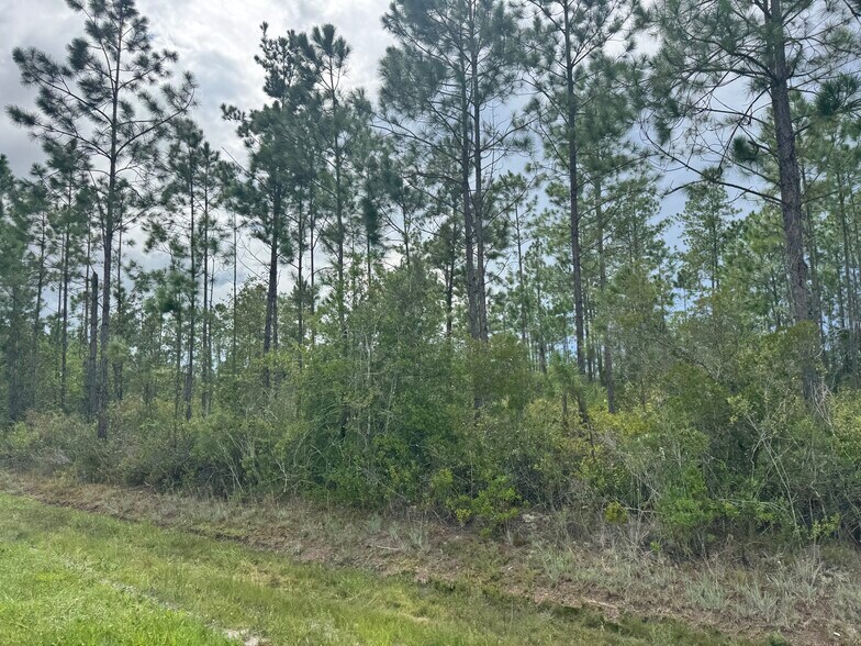 More Photos Of Noah Raulerson Road, Sanderson Land For Sale