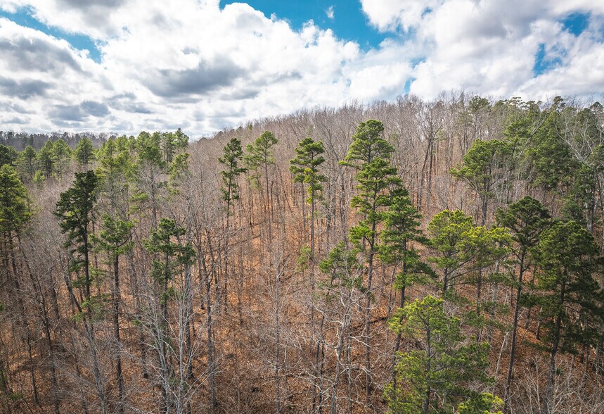 More Photos Of 3385 County Road 5615, Bunker Land For Sale